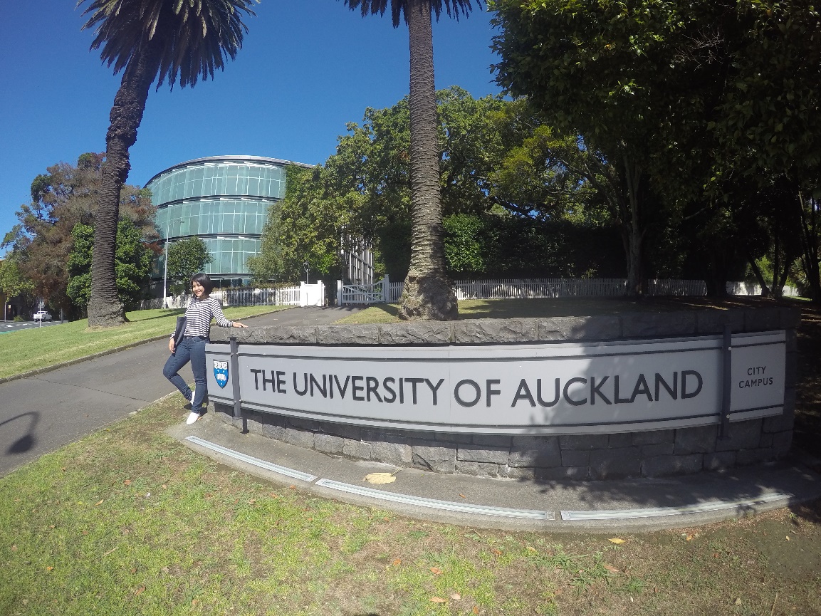 university of auckland phd public policy